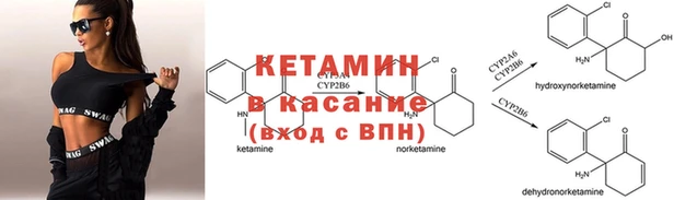 стаф Бронницы